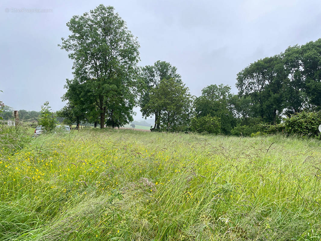 Terrain à ECOS