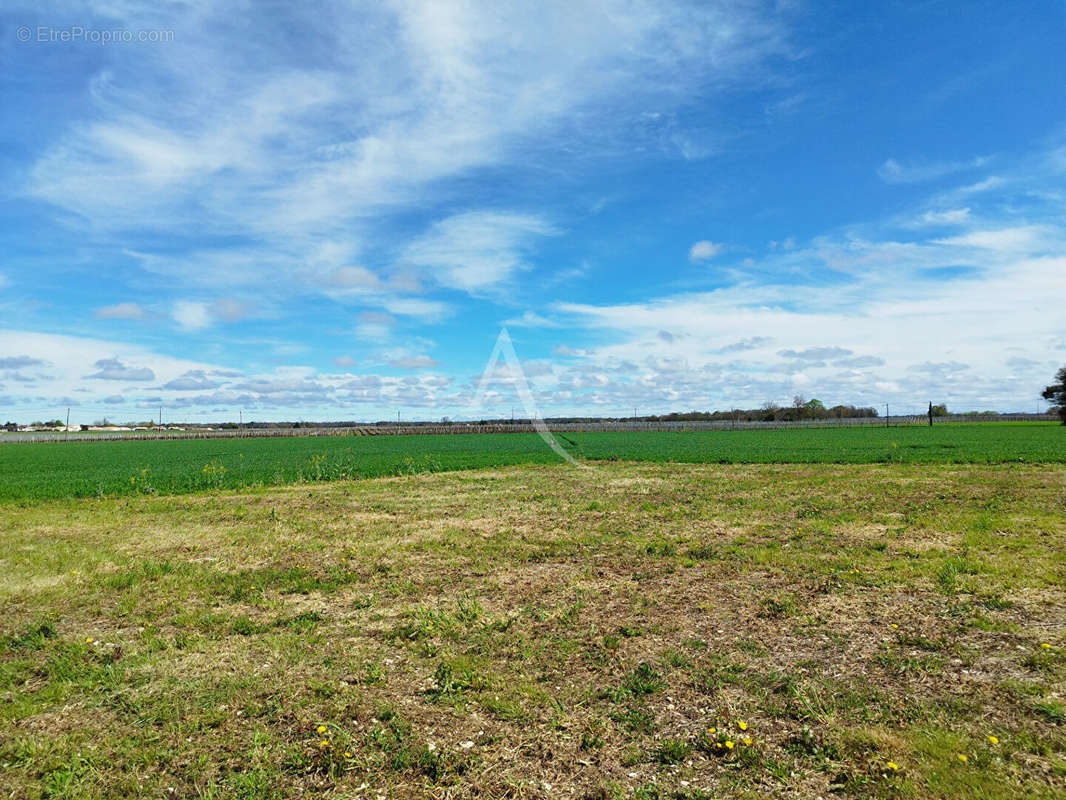 Terrain à TESSON