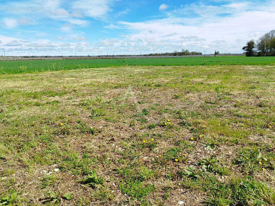 Terrain à TESSON