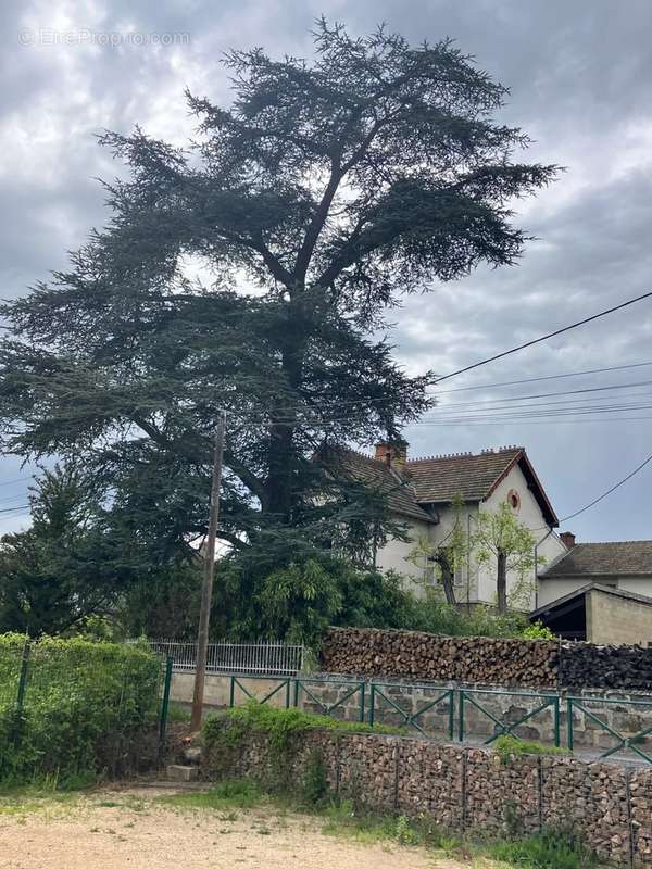 Maison à LA CHAPELLE-DE-GUINCHAY