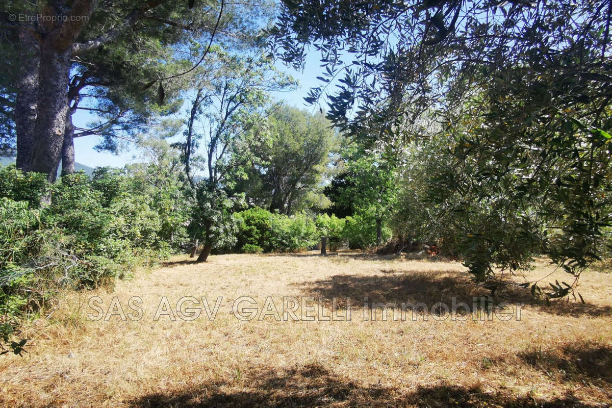 Maison à TOULON