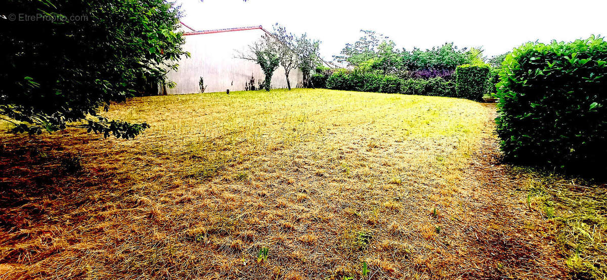 Terrain à NIORT