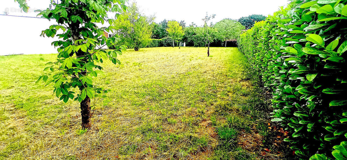 Terrain à NIORT