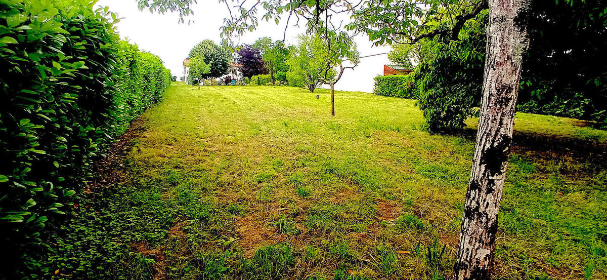 Terrain à NIORT