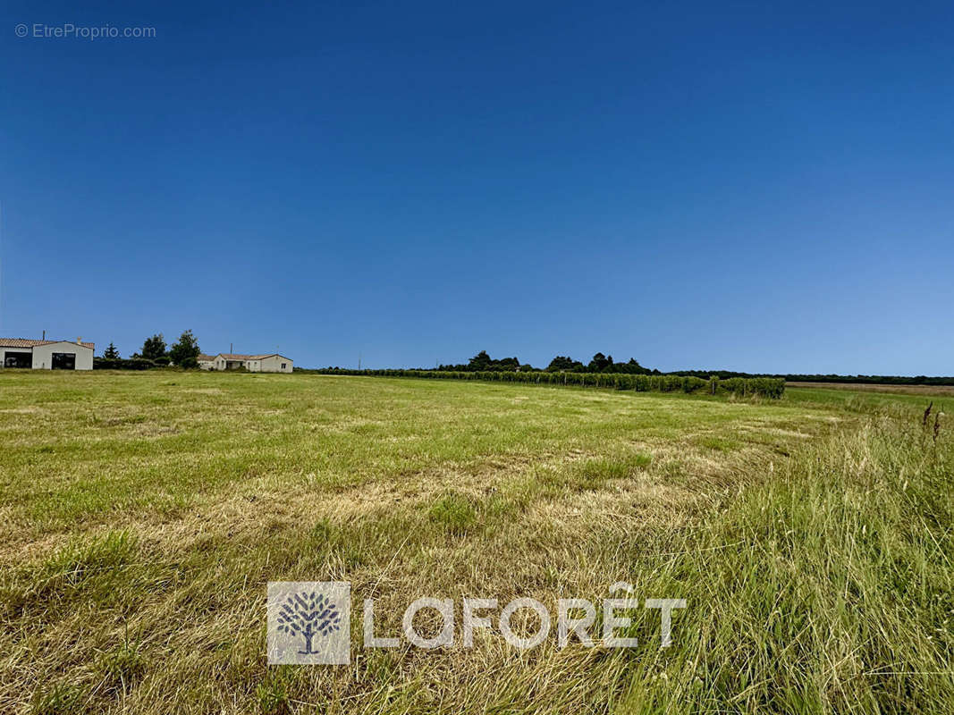 Terrain à GEMOZAC