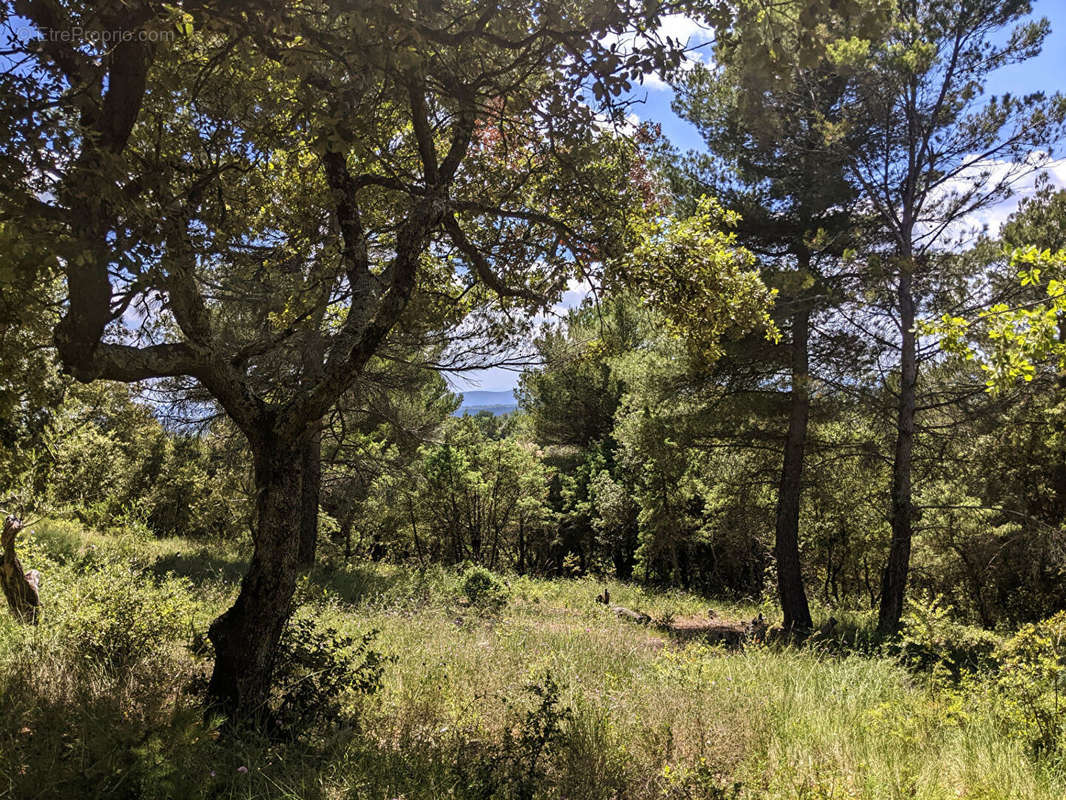 Terrain à BAUDINARD-SUR-VERDON