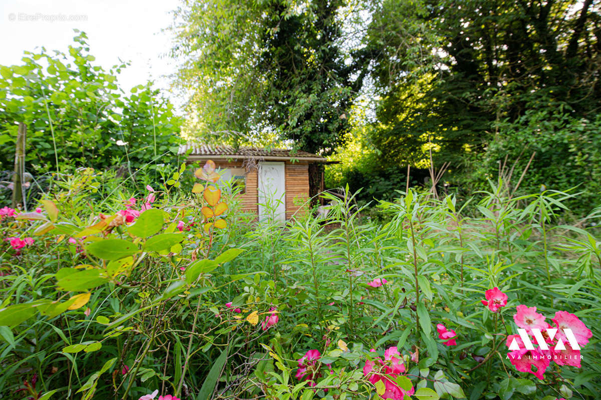 Appartement à MAXEVILLE