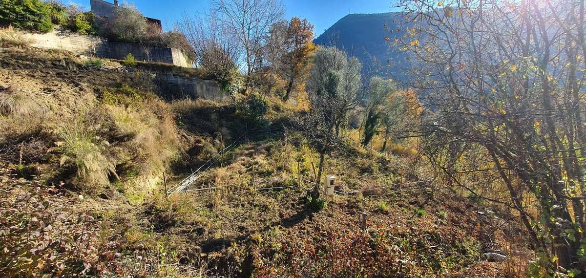 Terrain à TOURRETTE-LEVENS