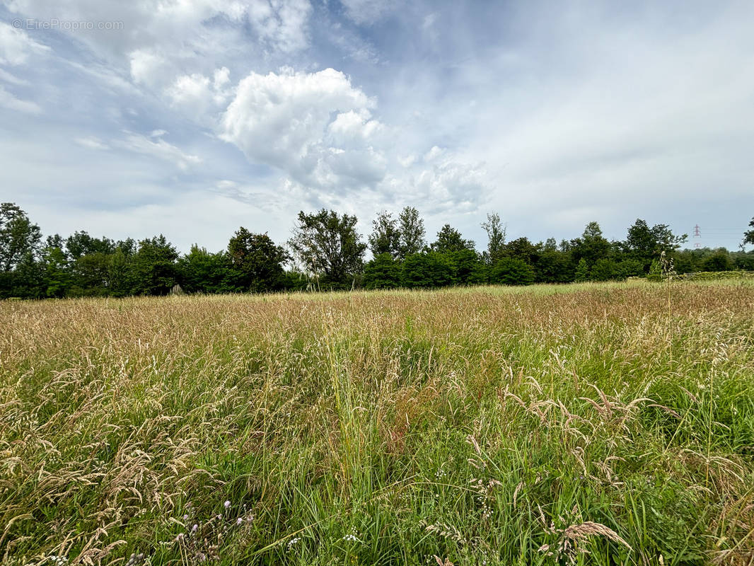 Terrain à VILLENAVE-D&#039;ORNON