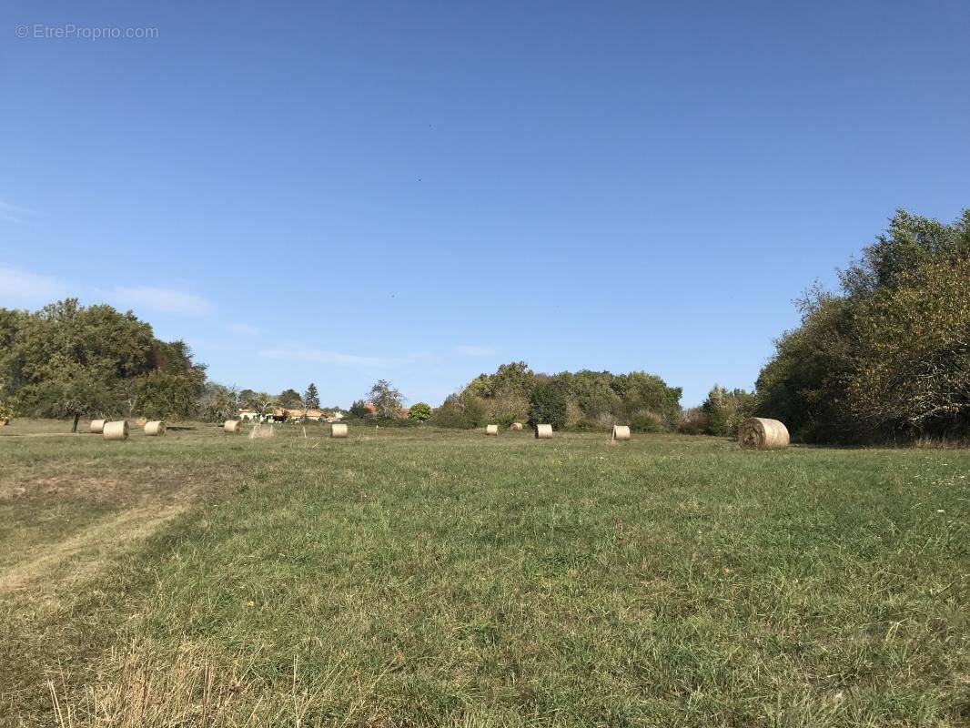 Terrain à CREYSSE