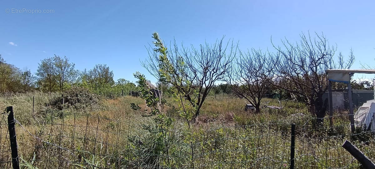 Terrain à VILLENEUVE-LES-BEZIERS