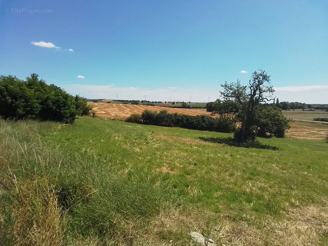 Terrain à REMILLY