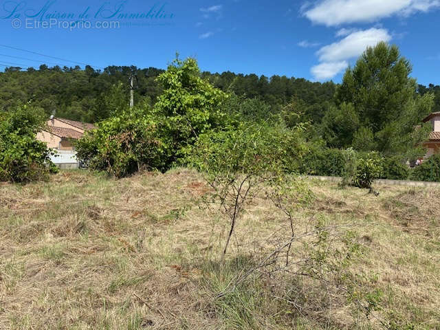 Terrain à BROUZET-LES-QUISSAC