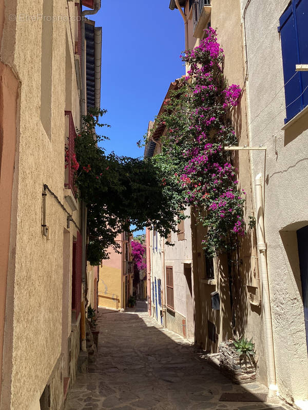 Maison à COLLIOURE