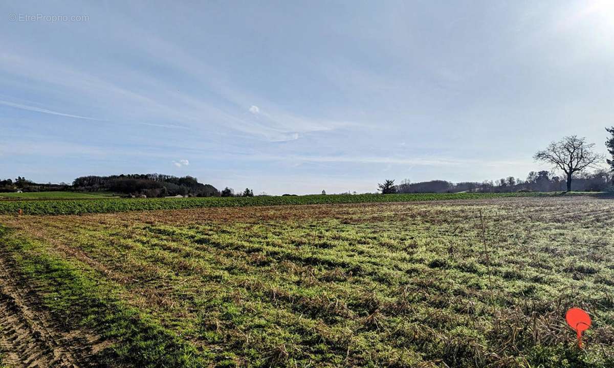 Terrain à SAINT-GEORGES