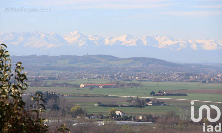 Photo 1 - Terrain à PINS-JUSTARET