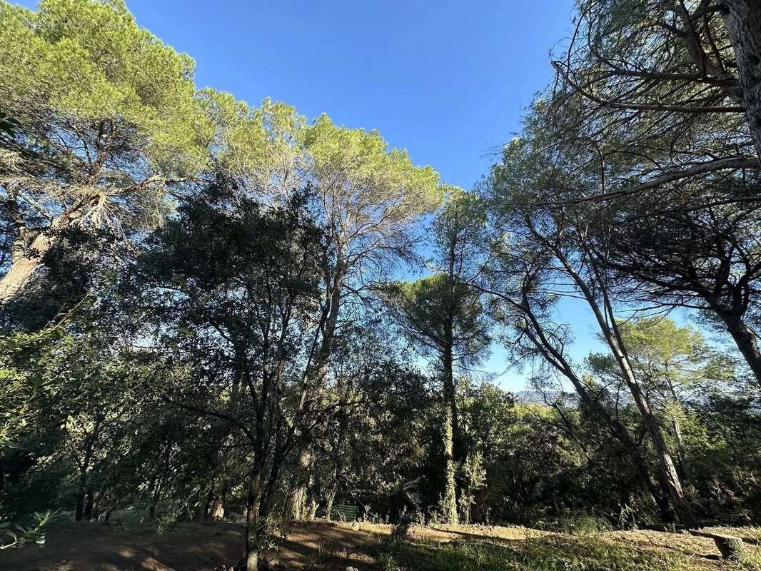 Terrain à ROQUEBRUNE-SUR-ARGENS