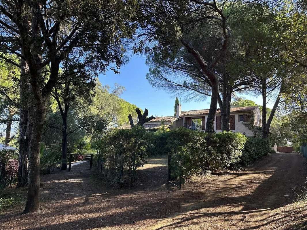 Terrain à ROQUEBRUNE-SUR-ARGENS