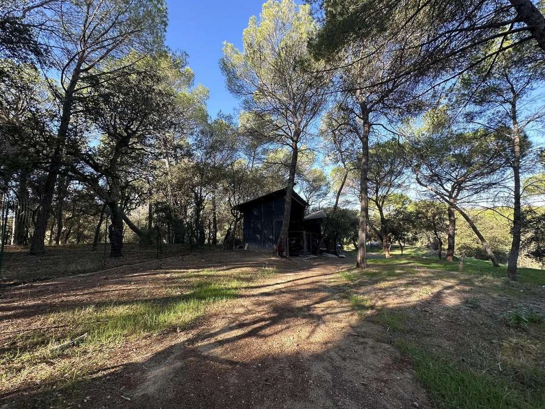 Maison à ROQUEBRUNE-SUR-ARGENS