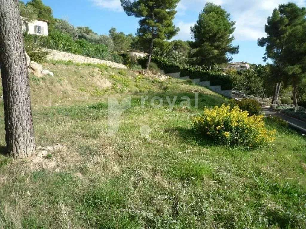 Terrain à MOUGINS