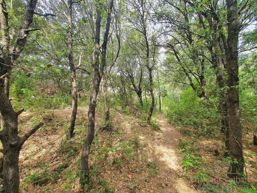 Terrain à LESQUERDE