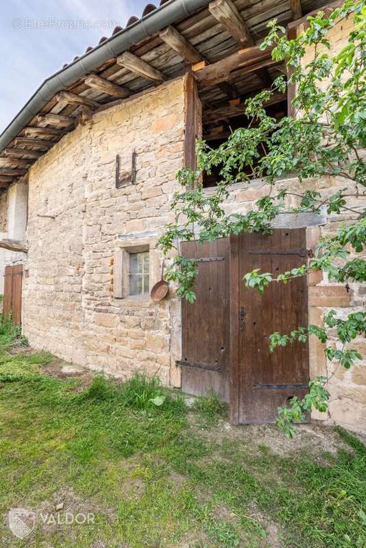 Maison à SAINT-DIDIER-SUR-CHALARONNE