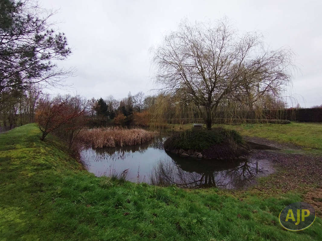 Terrain à MONTAIGU