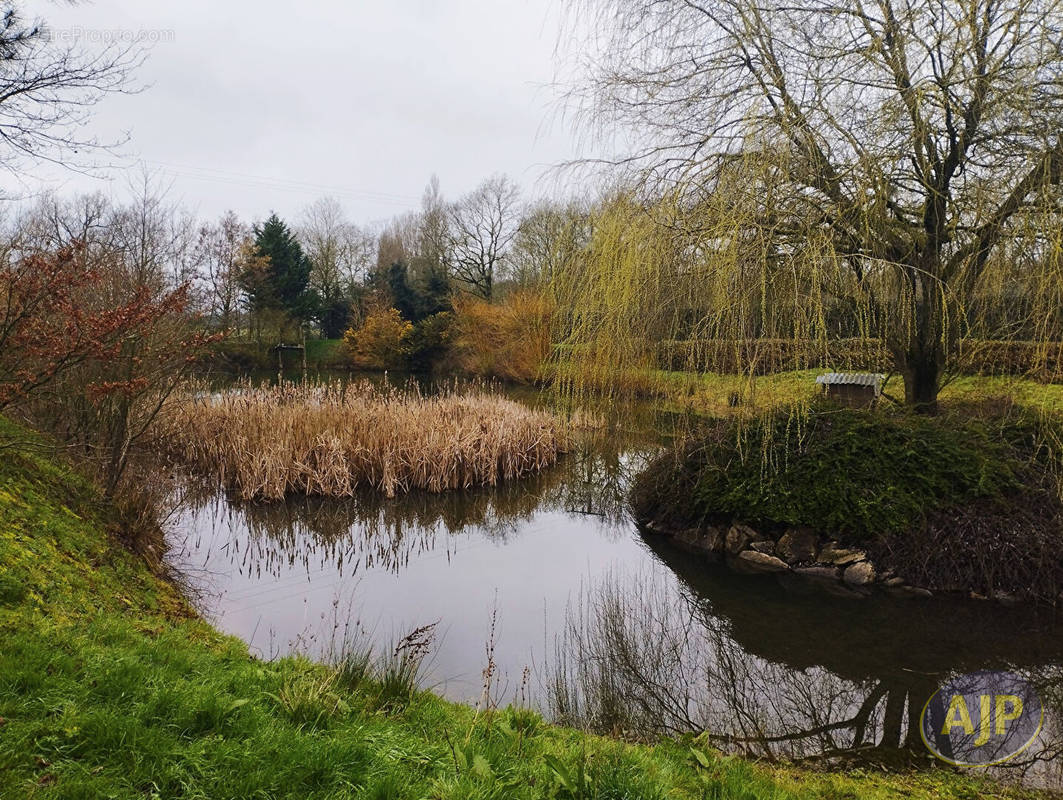 Terrain à MONTAIGU