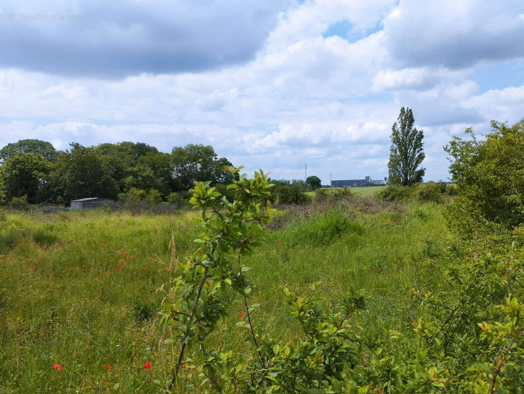 Terrain à BONNEVAL