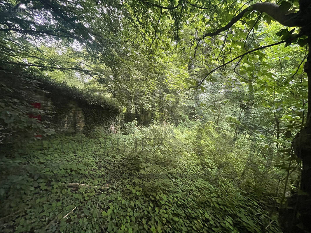 Terrain à VILLENEUVE-SUR-BELLOT