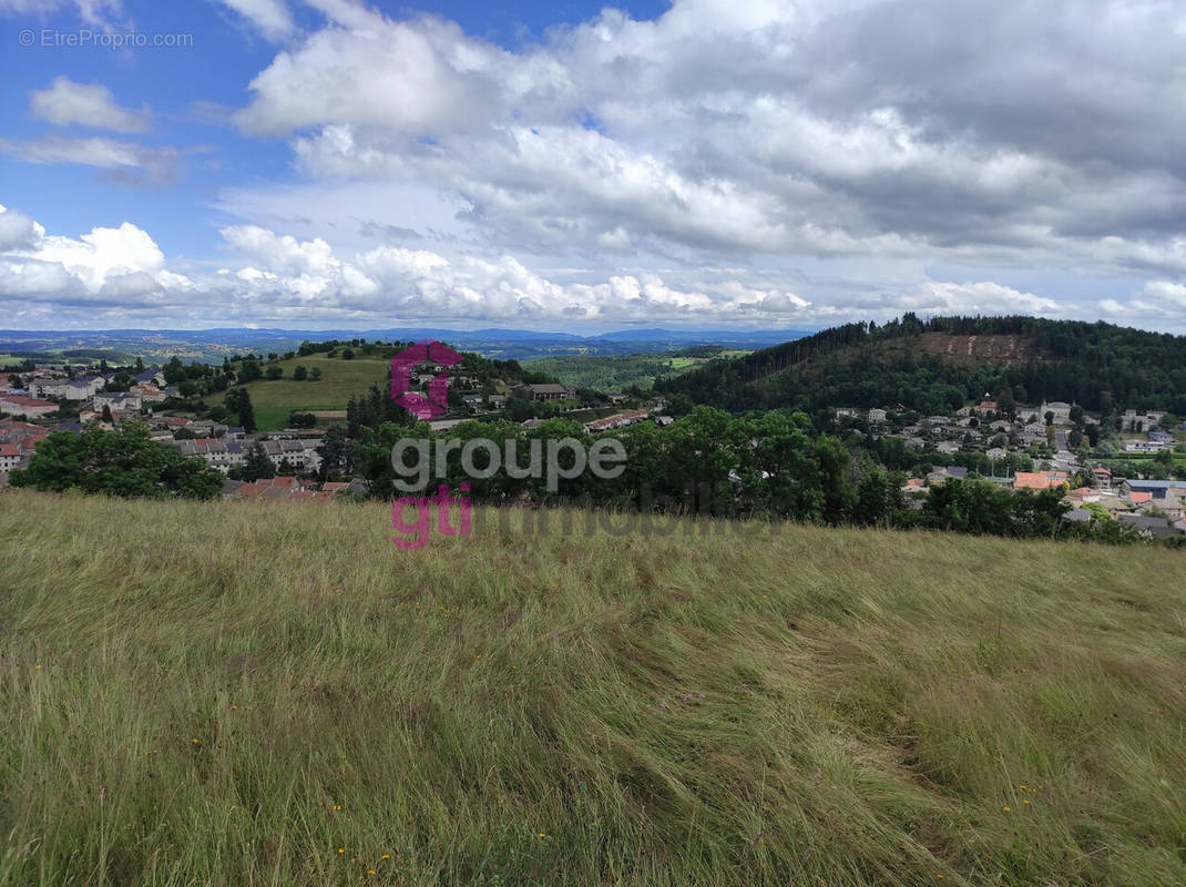 Terrain à YSSINGEAUX