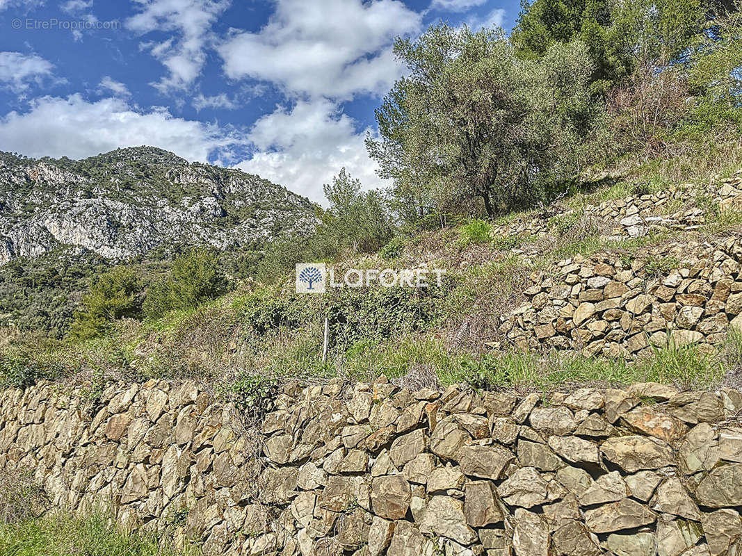 Terrain à GORBIO