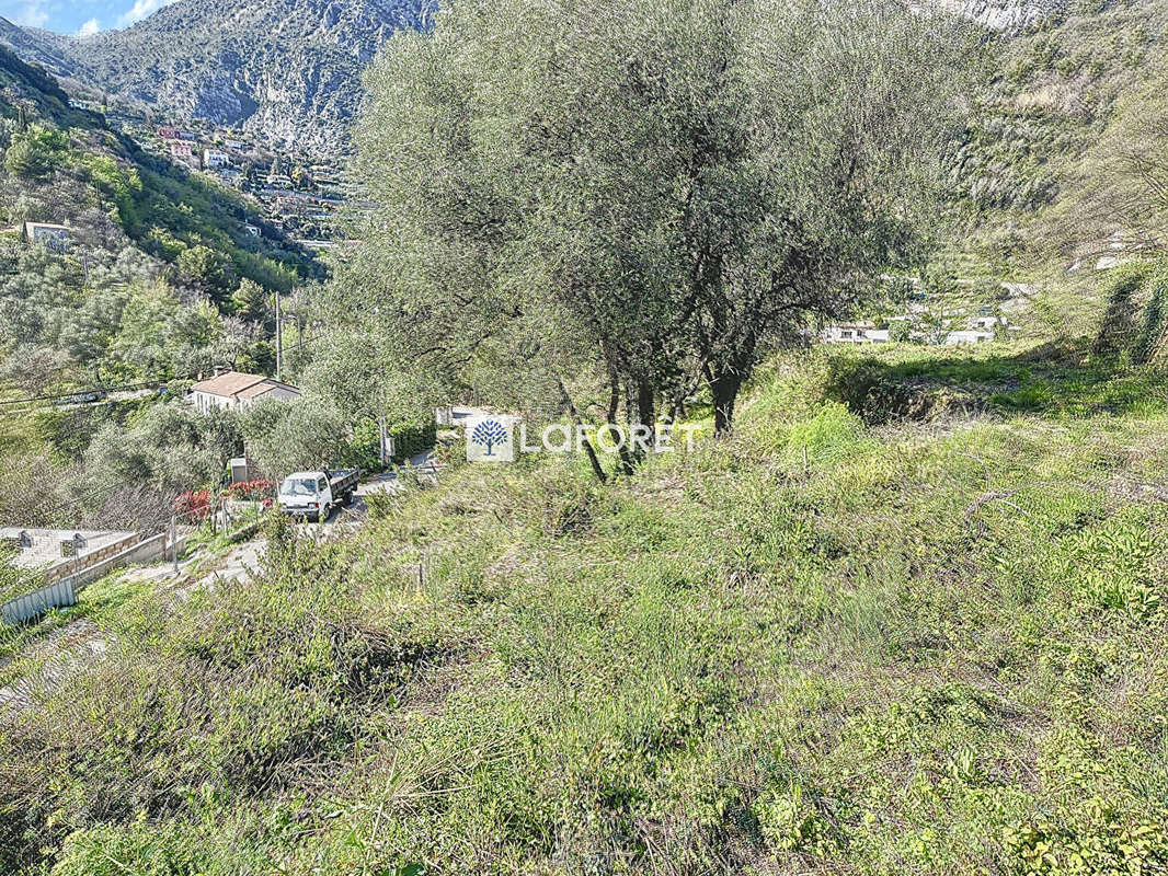 Terrain à GORBIO