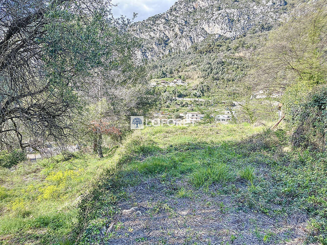 Terrain à GORBIO