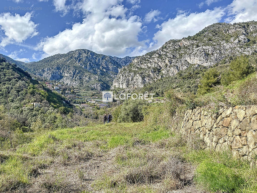 Terrain à GORBIO