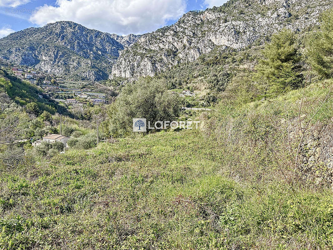 Terrain à GORBIO