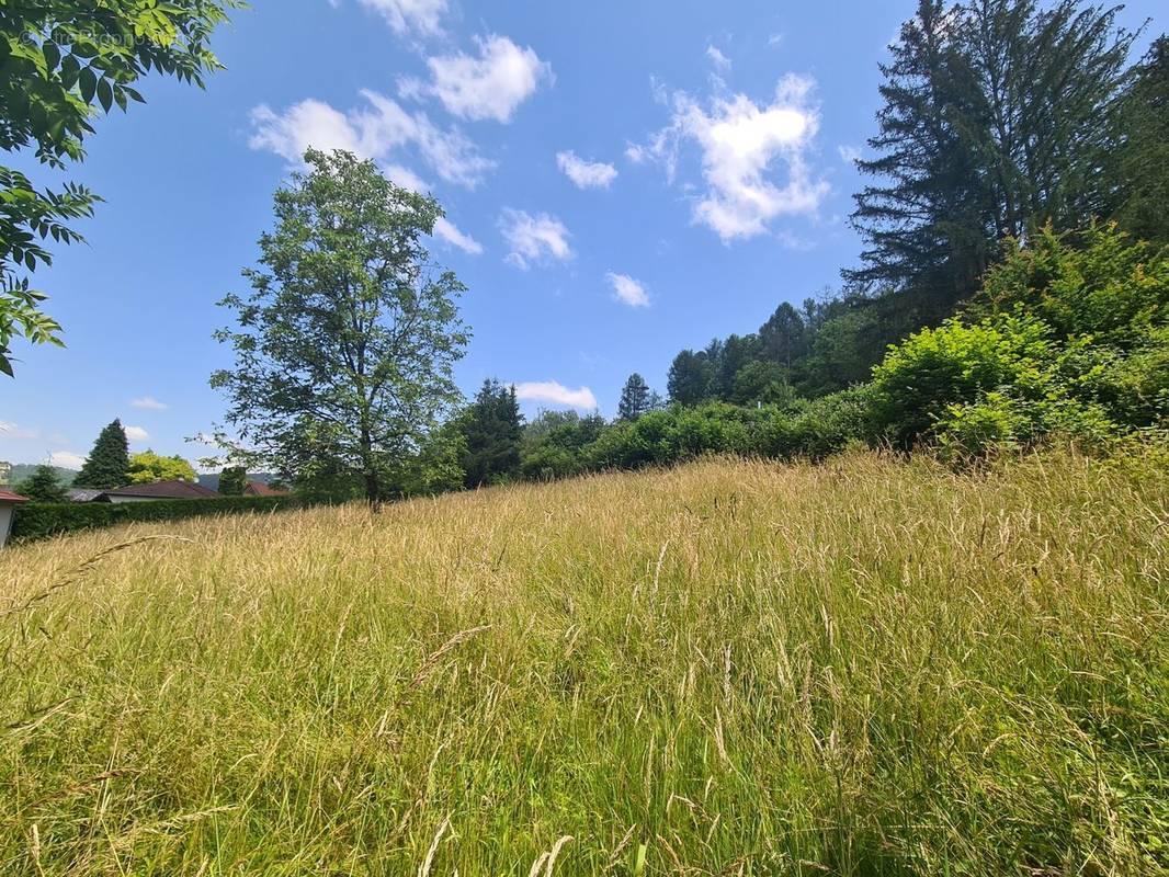 Terrain à ORNANS