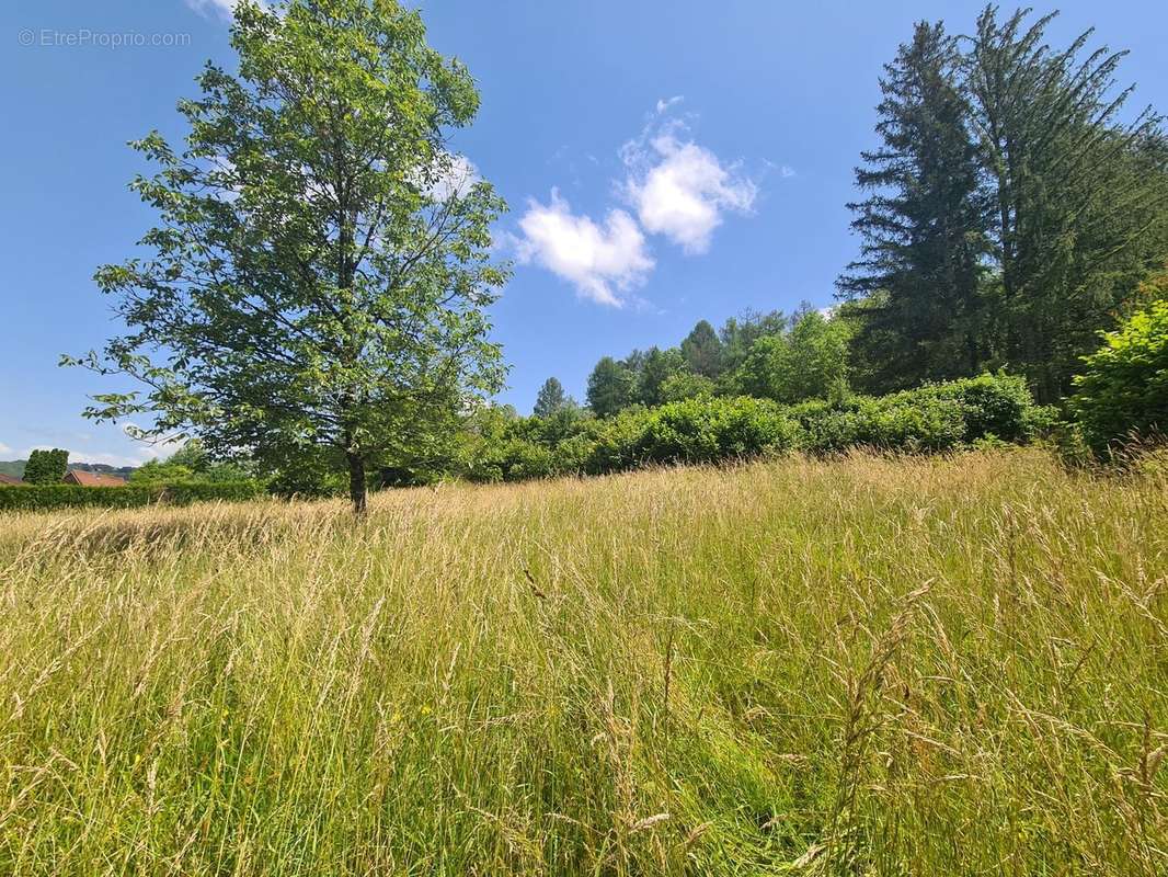 Terrain à ORNANS