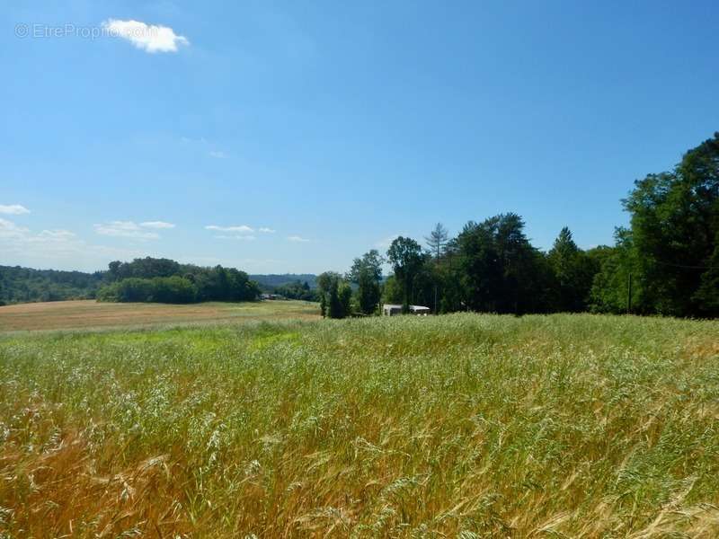 Terrain à BASSILLAC