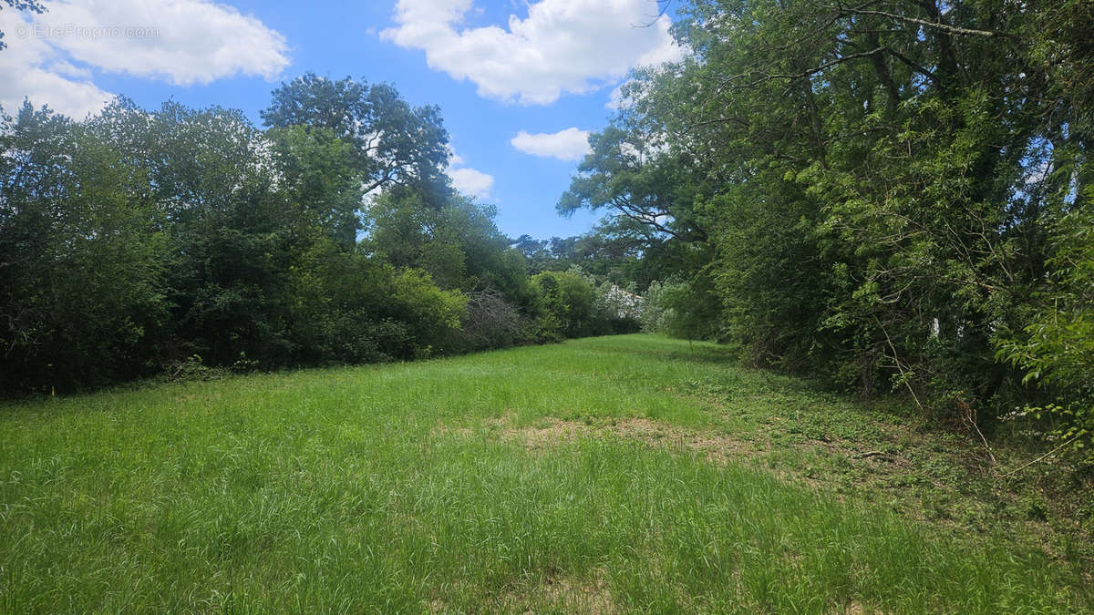 Terrain à LA BARRE-DE-MONTS