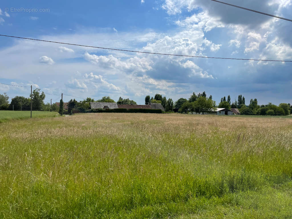 Terrain à YEVRES