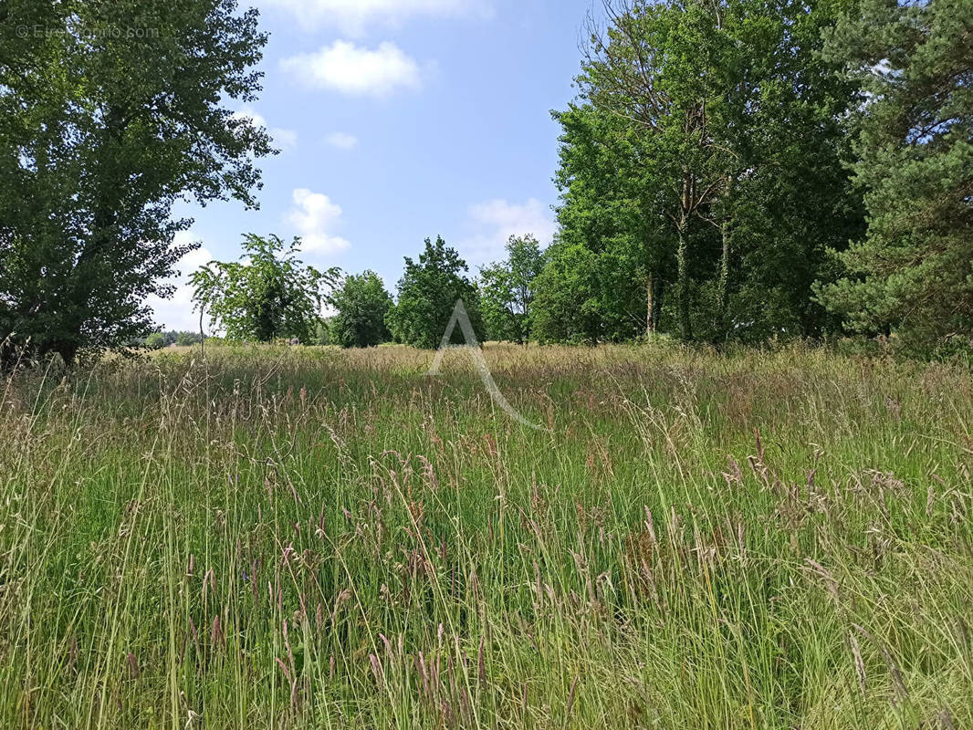 Terrain à SAINT-AIGNAN