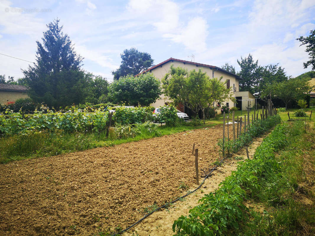 jardin potager - Maison à AUCH