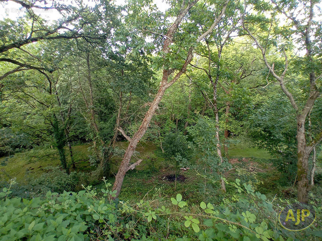 Terrain à LA BOISSIERE-DE-MONTAIGU