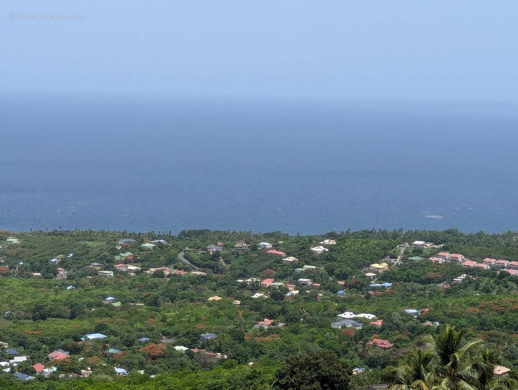 Terrain à VIEUX-HABITANTS