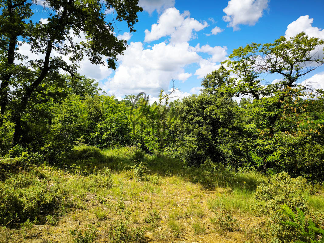 Terrain à UZES