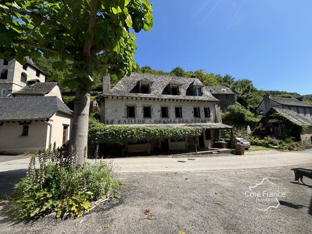 Maison à VIEILLEVIE