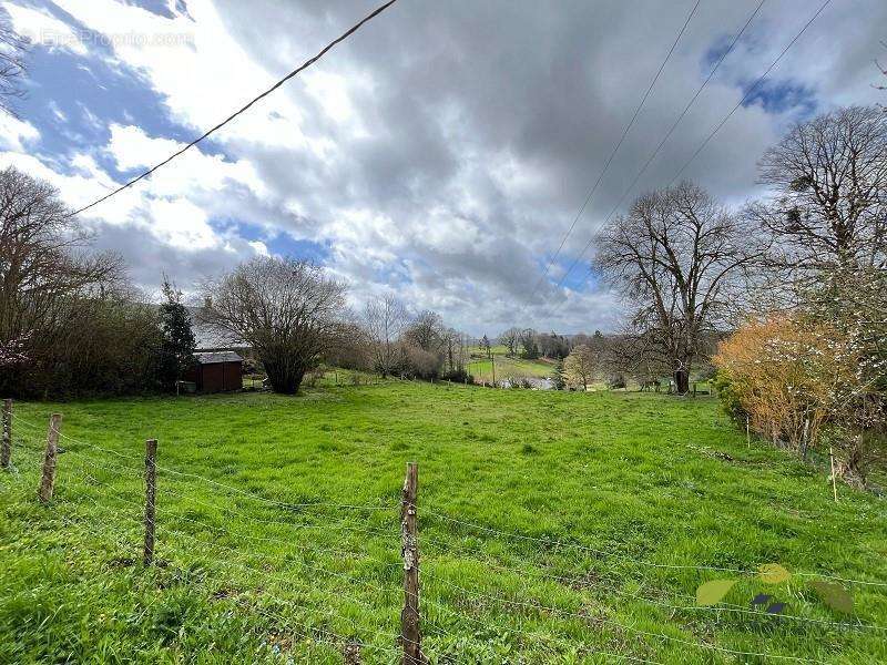 Terrain à LA CROISILLE-SUR-BRIANCE