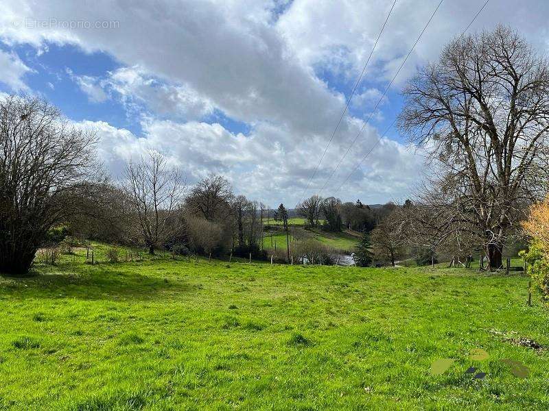 Terrain à LA CROISILLE-SUR-BRIANCE