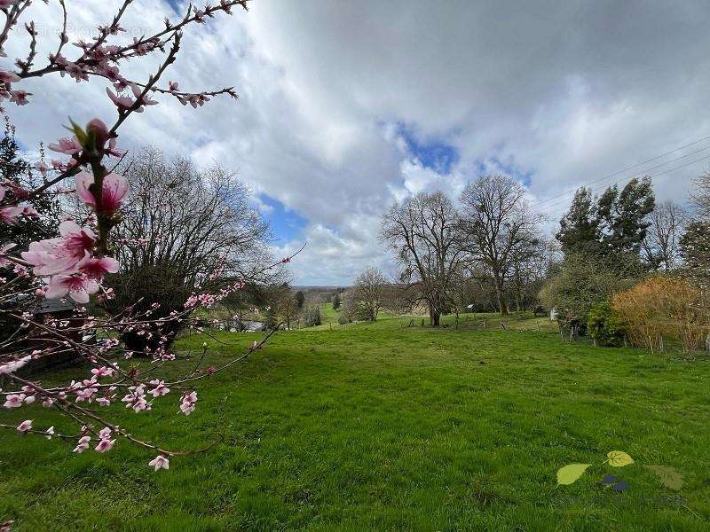 Terrain à LA CROISILLE-SUR-BRIANCE